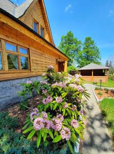 um arbusto de flores cor-de-rosa em frente a uma casa em Dworek nad Potokiem em Karpacz