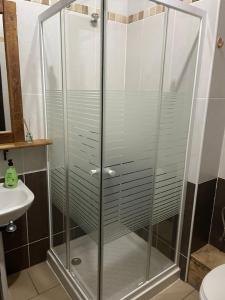 um chuveiro com portas de vidro na casa de banho em Albergue hostal Sahagún em Sahagún