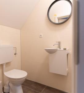 a bathroom with a toilet and a sink and a mirror at Monteurwohnung in Emstek