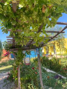 eine hölzerne Pergola mit Pflanzen im Garten in der Unterkunft Casa 2 Gold Star Village in Majorlândia