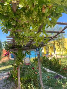 Vườn quanh Casa 2 Gold Star Village +5 ảnh