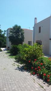 a brick walkway with flowers and a palm tree at Mouria Pension Rooms & Studios in Ancient Epidauros