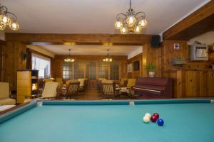 a living room with a pool table at Hotel Villa Ines in Borca di Cadore
