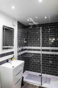 a bathroom with a shower and a white sink at Open plan Stylish Apartment in rural Kent in Kent