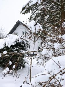 Obiekt WieliczkaHome 1st floor + garden + parking zimą