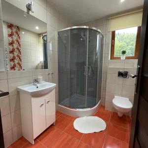 a bathroom with a shower and a sink and a toilet at Górskie Zacisze in Zawoja +17 photos