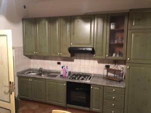 a kitchen with green cabinets and a sink at VACANZE A SESTOLA in Sestola