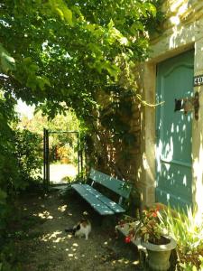 a cat sitting next to a green bench next to a door at Maison de charme avec vue sur la vallee de la Ceze in Saint-Gervais