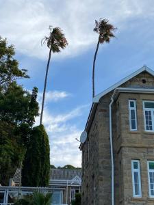 two palm trees on top of a building at Twin Palms Accommodations in Mossel Bay