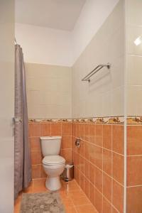 a bathroom with a toilet and a shower at Velomar Villa in Paralimni