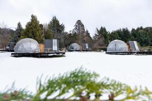 un grupo de cúpulas en un campo cubierto de nieve en Glamping Vulcanche en Villa Traful