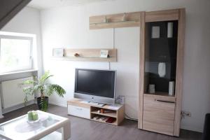 ein Wohnzimmer mit einem TV auf einem hölzernen Entertainment-Center in der Unterkunft Ferienwohnungen Riedel in Pegnitz