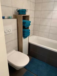 a bathroom with a toilet and a bath tub at Gemütliche Wohnung mit guter Anbindung in Thaur