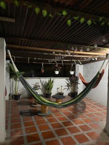 een hangmat in een kamer met potplanten bij Nice Place in Medellín