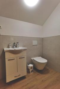 uma casa de banho com um lavatório e um WC em Holiday home D&D em Bosanska Krupa