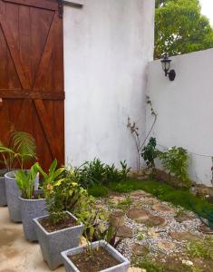 Recanto de Maragogi外面的花园