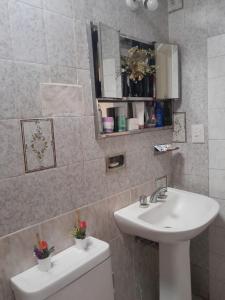 bagno con lavandino, servizi igienici e specchio di DEPARTAMENTO Alicia 1 a Santiago del Estero