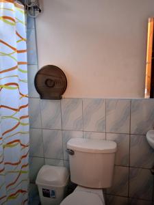 y baño con aseo y cortina de ducha. en Hostal Huacachina Sunset, en Ica