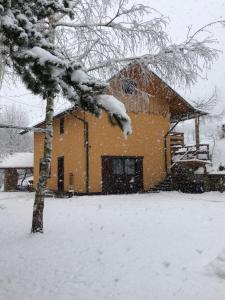 une maison recouverte de neige à côté d'un arbre dans l'établissement Pokoje u Adama Grajoka, à Szczawnica