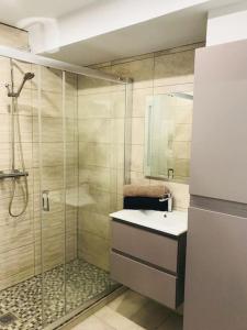 La salle de bains est pourvue d'une douche, d'un lavabo et d'un miroir. dans l'établissement Appartement Haut de gamme Créteil, à Créteil