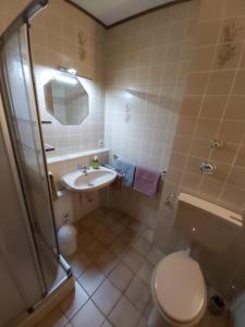 y baño con aseo, lavabo y ducha. en Ferienwohnung Munzert, en Zell im Fichtelgebirge