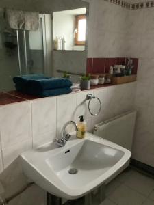 a bathroom with a white sink and a mirror at No. 5 Plaisance - Room 2 in Plaisance