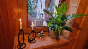 a window with two candles and a plant on a window sill at Atpūta Mālpilī in Mālpils