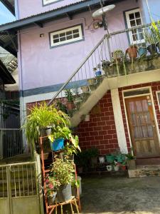 ein rosafarbenes Haus mit Pflanzen davor in der Unterkunft Gina’s Homes in Sagada