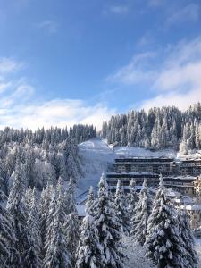 a snow covered forest with trees and a building at Luxury Apartments Studenets in Pamporovo