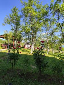 a garden with trees and a house in the background at Bosnian Hobbiton in Kovačevo Polje