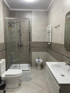 a bathroom with a shower and a toilet and a sink at Sun Lidia in Chernivtsi