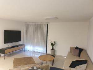 TV a/nebo společenská místnost v ubytování רותם רויאל