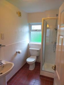 a bathroom with a toilet and a shower and a sink at The Green Dragon Inn in Redditch