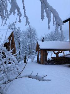 uma cabana coberta de neve com árvores cobertas de neve em Pokoje u Adama Grajoka em Szczawnica