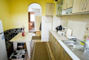 a kitchen with a sink and a counter top at Flower Apartment - Deluxe in Odorheiu Secuiesc +1 photo