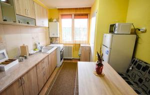 a kitchen with a refrigerator and a table in it at Flower Apartment - Deluxe in Odorheiu Secuiesc