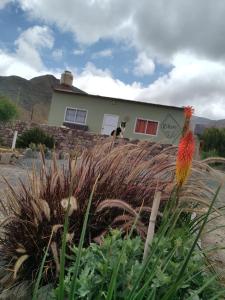 una casa con una flor delante de ella en Rikra Purmamarca en Purmamarca