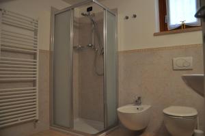 a bathroom with a shower and a toilet and a sink at Agriturismo ai Ciliegi in Bardolino