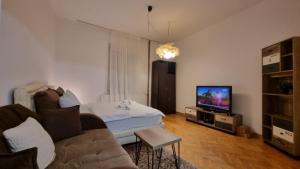 a living room with a couch and a television at Apartments near Belgrade Waterfront in Belgrade
