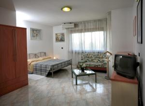 TV a/nebo společenská místnost v ubytování Hotel Residenza Delle Alpi