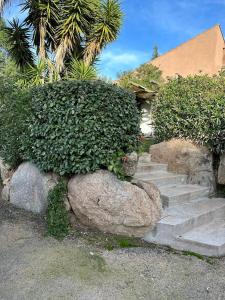 a set of stairs with a green bush at Maison D Santa Giulia in Porto-Vecchio