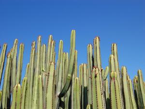 Fotografie z fotogalerie ubytování Los Lagos 20 by VillaGranCanaria v destinaci Salobre