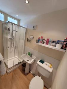a bathroom with a shower and a toilet and a sink at Spacious cosy apartment in Llandudno