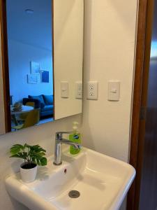 a bathroom sink with a mirror and a potted plant at Casa AMAR·i·LLA Chantepec in Chantepec