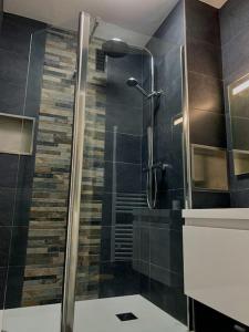 baño con ducha y puerta de cristal en T1 bis cosy et spacieux - wifi - parking gratuit en Angers