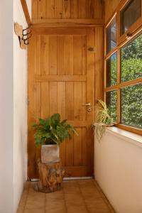 a plant sitting on a stump in front of a door at Nómada in San Martín de los Andes