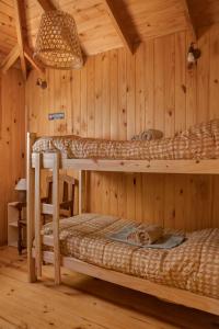 two bunk beds in a room with wooden walls at B&B Casa Nómada in San Martín de los Andes