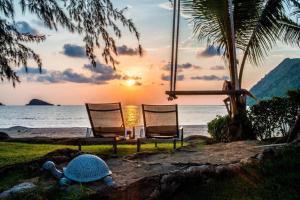 two chairs and a turtle on the beach with the sunset at Siam Sunset Beach Villas in Ko Chang