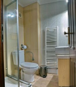 ein Bad mit einem WC, einer Dusche und einem Waschbecken in der Unterkunft TARLAS ROOMS in Mytilini