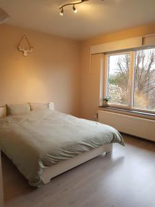 ティユーにあるSol'Croupetのベッドルーム(大型ベッド1台、窓付)